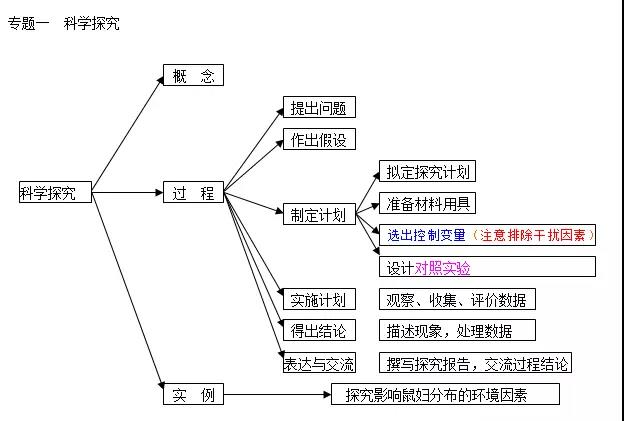 粮食与贝壳饰品风水关系