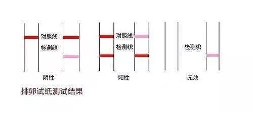 非接触式体温计哪个牌子的准