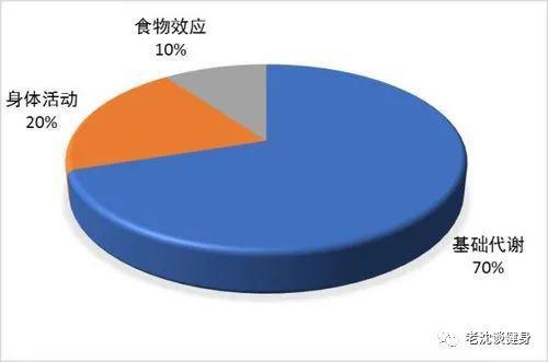 体温每升高一度基础代谢率提高