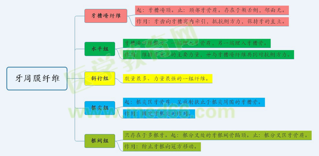 牙周治疗医保报销比例,关于牙周治疗医保报销比例及高速方案规划的探索——以iPad设备为例,时代资料解释落实_静态版6.21