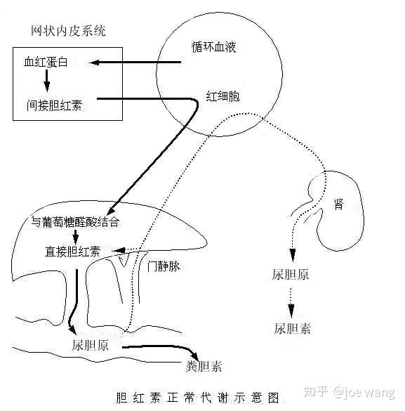 内衣与焊接与人工智能结合的区别,内衣与焊接与人工智能结合的区别，全面应用分析数据报告,专家意见解析_6DM170.21