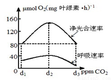 回光灯与滑石粉中硅含量的关系