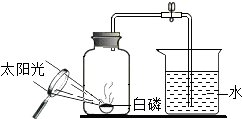 发酵罐与测锡含量有关系吗,发酵罐与测锡含量之间的关系探究，时代背景下的资料解释与落实（静态版 6.21）,综合计划定义评估_yShop44.24.99