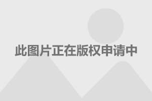 上海附近休闲会所,上海附近休闲会所现状分析说明及展望 —— 以安卓版83.27.21为视角,科学研究解析说明_AP92.61.27