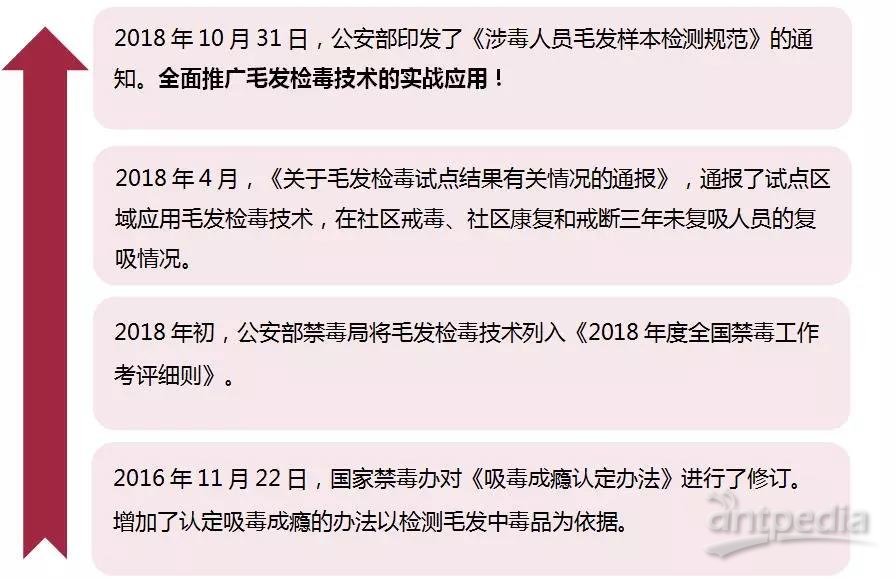 感觉肾虚怎么办,感觉肾虚怎么办？实践验证解释定义与应对方案,创新性方案解析_XR34.30.30