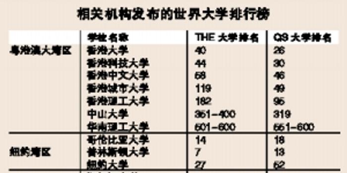 跑狗网,跑狗网，可靠操作策略方案Max31.44.82的探讨与实践,实时解答解析说明_FT81.49.44