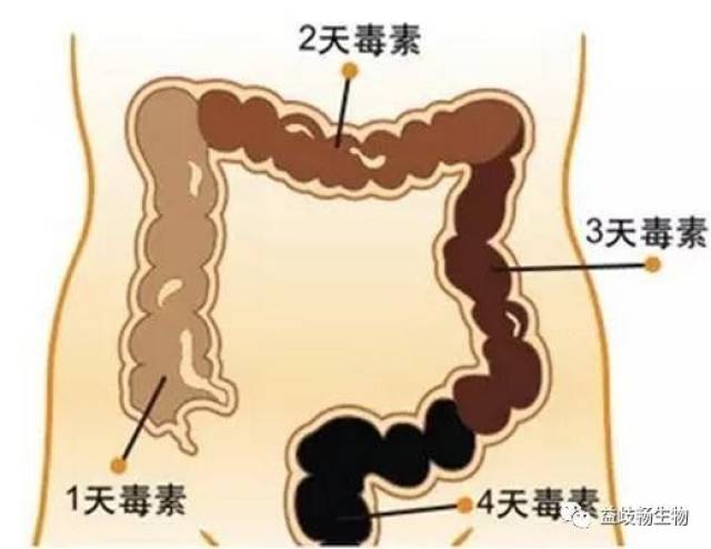 屎太硬已到肛门拉不出来怎么办用开塞露有用吗,应对排便困难，开塞露的使用与全面解决方案,动态解读说明_vShop76.70.52