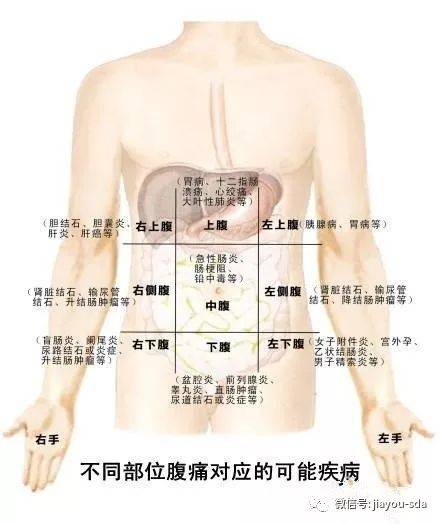 肚子疼怎么办快速止疼,肚子疼怎么办？快速止疼与迅速处理解答问题的方法,综合计划定义评估_yShop44.24.99