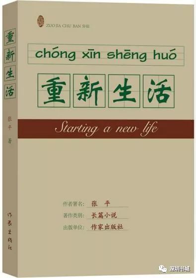 关于深圳的小说推荐,关于深圳的小说推荐，精细评估解析,实地验证方案策略_4DM16.10.81