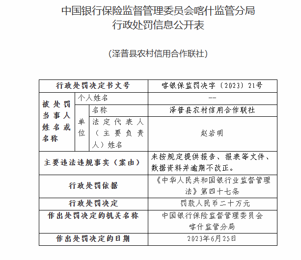 一码一肖100准正版资料