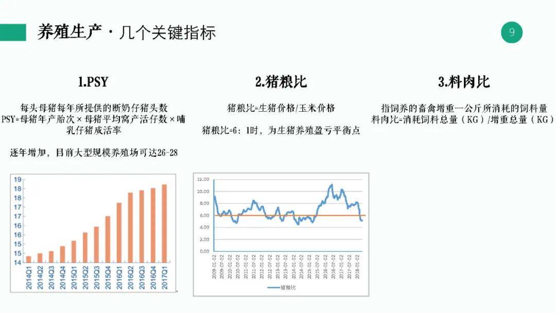 新澳精准资料免费提供265期