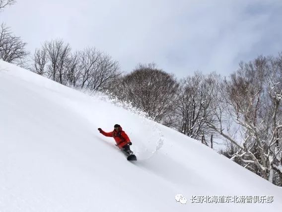 爸爸带娃滑雪撬主打一个相互信任