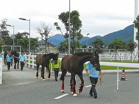 香港赛马