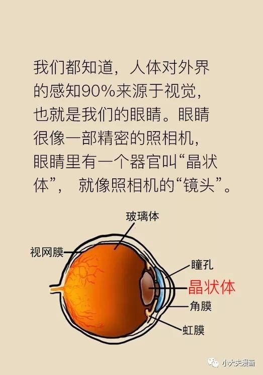 滴眼药水可以治疗白内障？谣言