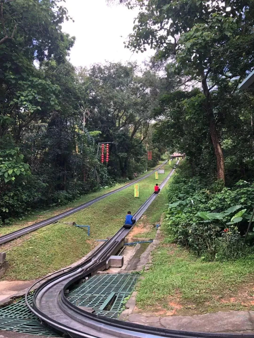 白云山景区回应游客被卡半空