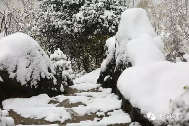 武汉下雪