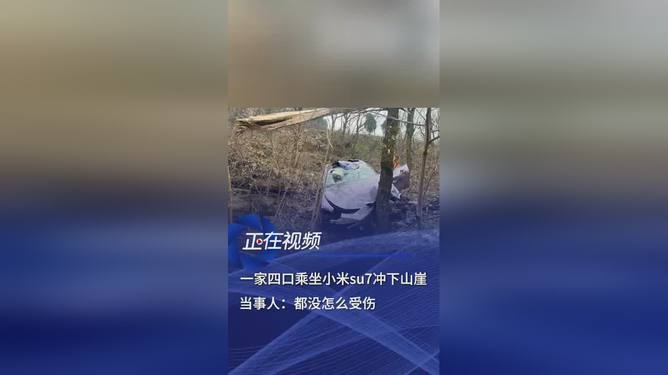 小米SU7滚坠山崖 一家四口安然无恙