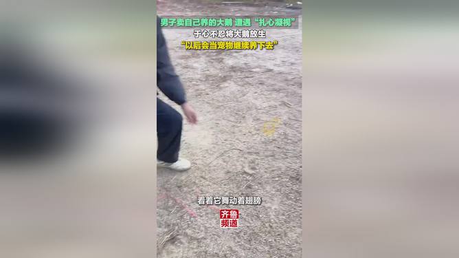 男子卖大鹅遭“扎心凝视”后放生