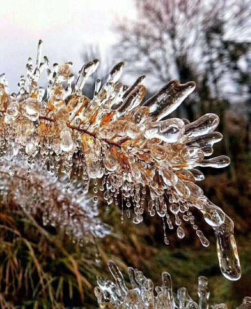 新疆一个湖冻成水晶蝴蝶