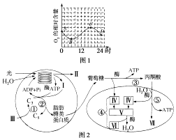 煤气远程抄表通过哪里传输,煤气远程抄表传输方式及科学研究解析说明——以AP92.61.27为例,功能性操作方案制定_Executive99.66.67