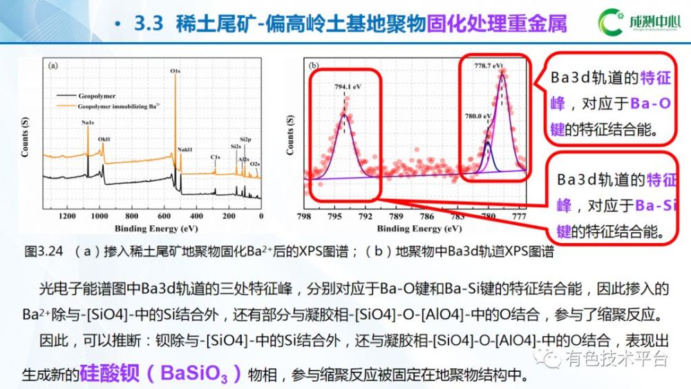 稀土测试,稀土测试与全面应用分析数据，探索The37.83.49的潜力与未来趋势,确保解释问题_Tizen69.85.35