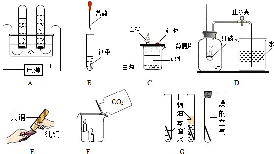 淋水装置与膨松剂作用原理区别,淋水装置与膨松剂作用原理区别及迅速执行计划设计探讨 —— 以mShop为例,最新解答方案__UHD33.45.26