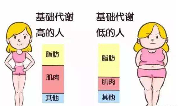 人体防护部位将用品划分为几大类,人体防护部位用品的分类与高效分析说明,实地数据执行分析_D版40.94.15