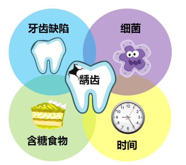 没有牙齿的生肖是