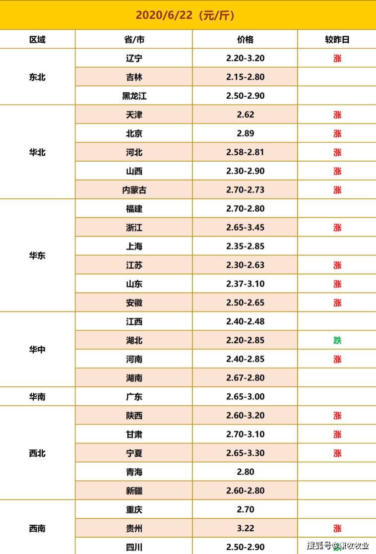 新澳门一码一码100准确,新澳门一码一码精准预测与细节执行方案的调整——以Kindle72.259为视角,互动策略评估_V55.66.85