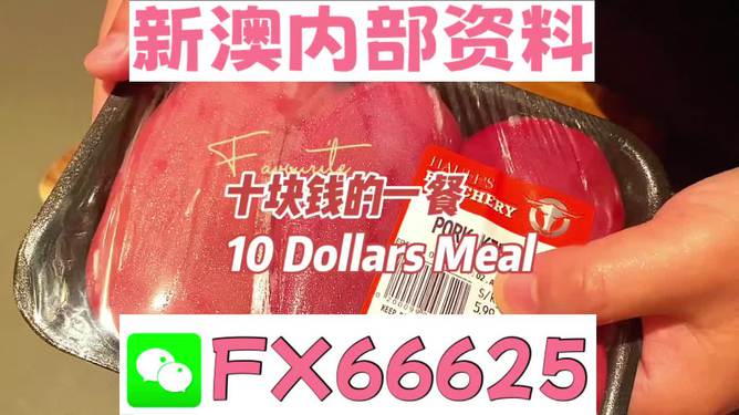 新澳精准资料免费提供风险提示,新澳精准资料风险提示与实地验证策略方案,互动策略评估_V55.66.85