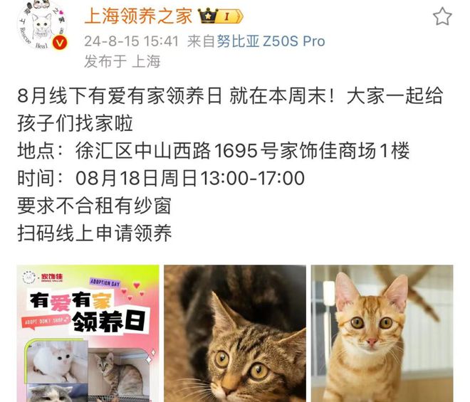 领养猫咪花1.4万后拒付猫贷被告